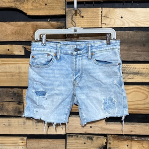 Men’s AEO Airflex Athletic‎ Skinny Distressed Jean Shorts Size 29